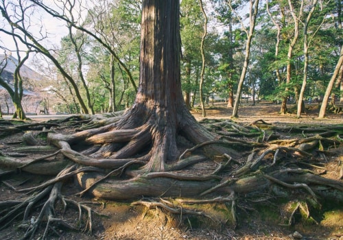 Ways to Overcome Mental and Physical Challenges: Understanding Grounding Techniques